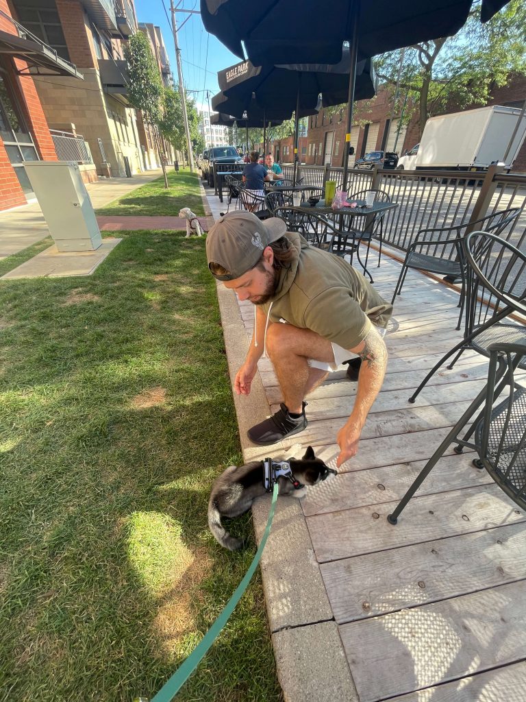 dog-friendly patios can be successfully navigated with your dog with preparation and practice