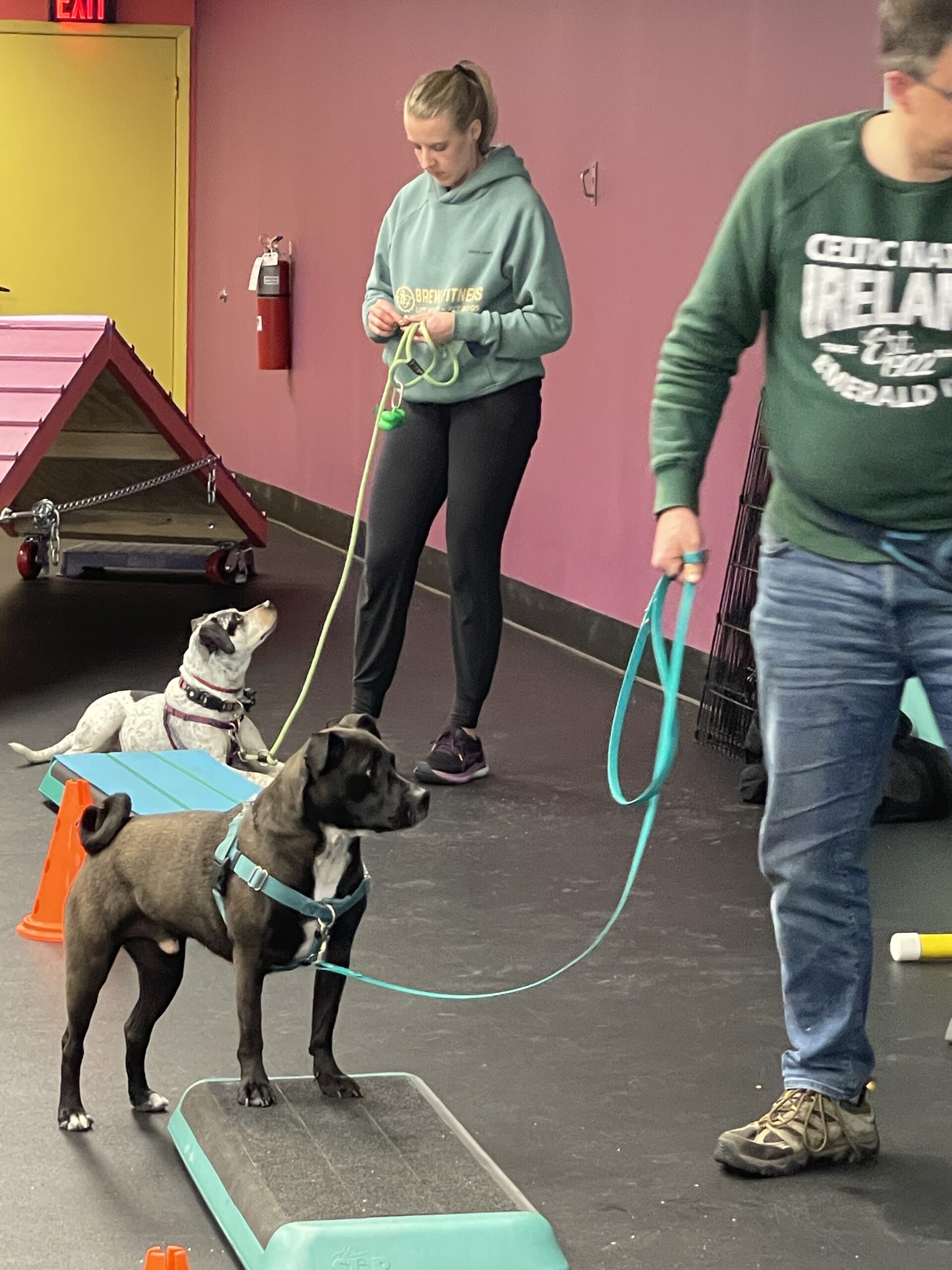 group class training with two families, each with one dog